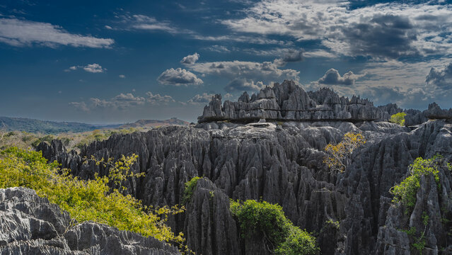 Beautiful rocky landscape. Steep karst cliffs with furrowed slopes and sharp peaks against a background of blue sky and clouds. Green vegetation. Madagascar. Tsingy De Bemaraha