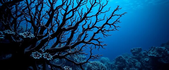 Intricate black coral branches, deep ocean setting,  biodiversity,  invertebrate