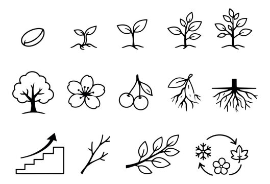 Hand drawn line art plant and nature icon set featuring seed, sprout, tree, flower, roots, and seasonal cycle for educational concepts