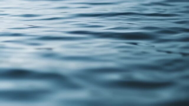 A serene gentle wave on a calm ocean surface viewed from a close-up perspective on a tranquil day