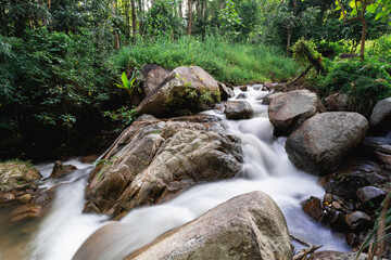 Serene Stream Flowing Over Smooth Rocks Surrounded by Lush Green Foliage in a Tranquil Forest Environment Ideal for Nature Photography