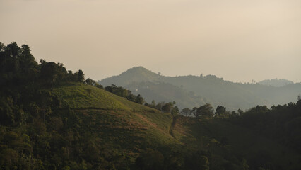 Serene Landscape of Rolling Hills with Lush Greenery Under Soft Light at Dusk in the Mountains