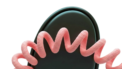 Coral Spiral on Dark Surface