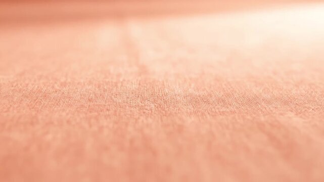 Close-up of a textured peach-colored surface with a shallow depth of field and warm tones against a plain white background.