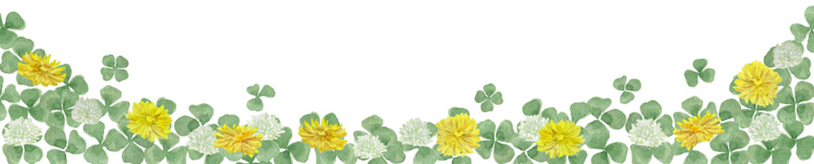 Watercolor dandelion and white clover border. Hand-painted spring floral footer with yellow flowers.-300dpi-