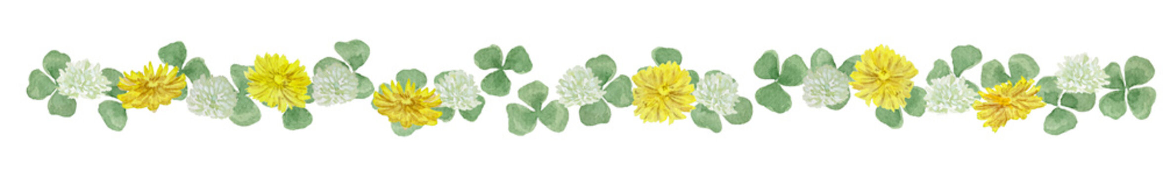 Watercolor dandelion and white clover border. Hand-painted spring floral footer with yellow flowers.