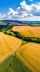 Bird's-eye view of rolling farmland under a sunny sky with puffy clouds. A green river cuts through the golden fields