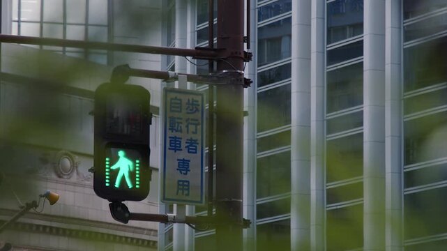 Pedestrian signal on street post turns green, allowing people to walk