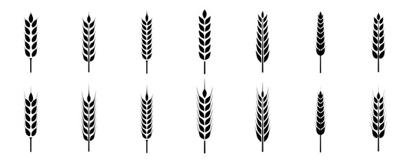 Fototapeta premium Wheat ears icon set. Wheat logo. Grain spikes set icons.Grain icon. Agriculture symbol. vector illustration