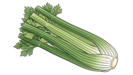 A detailed drawing of a fresh bunch of green celery stalks with leaves