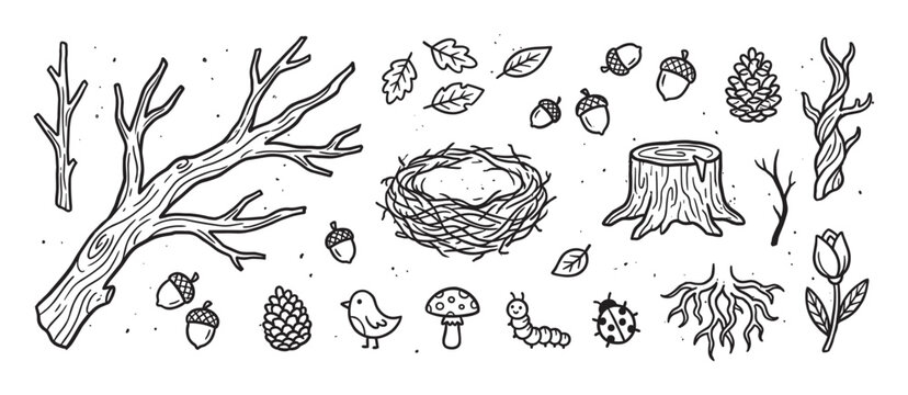 Hand-drawn black and white forest elements set with a tree branch, bird nest, stump, acorns, and insects in a cute doodle style illustration for nature-themed projects