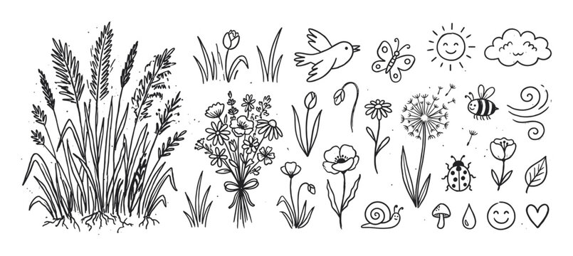 Hand-drawn black and white nature clip art collection with cute spring and summer symbols like a bird, ladybug, poppy, grass, cloud, and snail in a simple sketch illustration