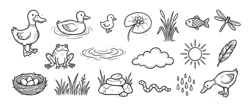 Hand-drawn doodle set of cute pond animals and nature elements, including a duck, duckling, frog, fish, dragonfly, nest, and sun, rendered in a simple black outline style