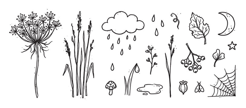 Set of hand-drawn black ink illustrations featuring autumn nature elements like a wildflower, mushroom, rain cloud, moon, and spiderweb in a whimsical doodle style