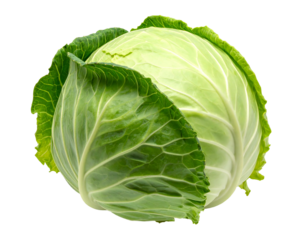 A head of fresh, round, leafy green cabbage, a common vegetable, set against black