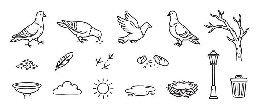 Black and white doodle icon set featuring city pigeons in various poses with urban park items like a nest, lamppost, trash can, and bare tree, drawn in a simple sketch style