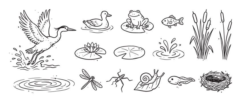 Collection of hand-drawn pond life illustrations featuring a heron, duck, frog, fish, dragonfly, and snail in a simple black and white doodle sketch style for nature concepts