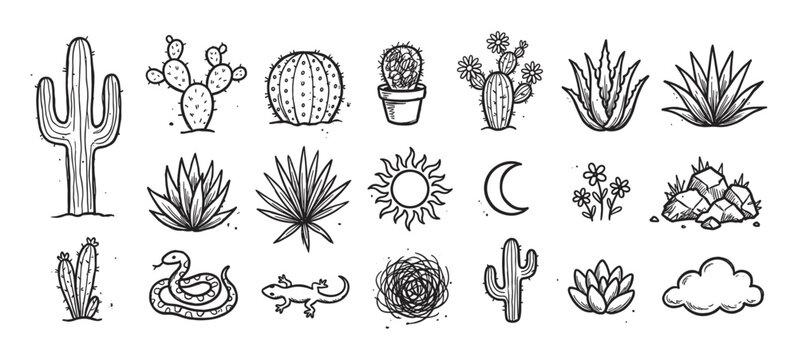 Collection of hand drawn desert illustrations featuring various cacti, agave plants, a snake, lizard, sun, and moon in a rustic, sketchy, doodle line art style for nature designs