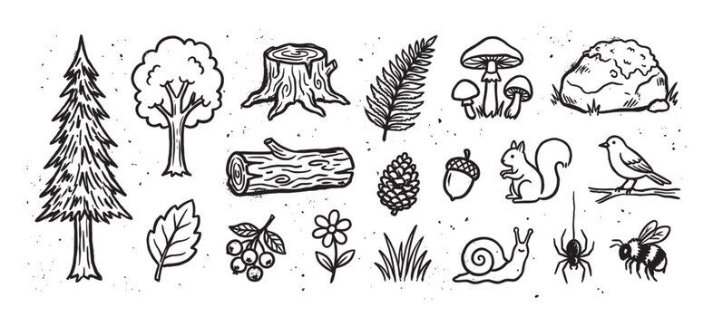 Set of black and white forest illustrations with a hand-drawn, rustic doodle style, including a squirrel, bird, mushroom, pine tree, snail, and other woodland elements
