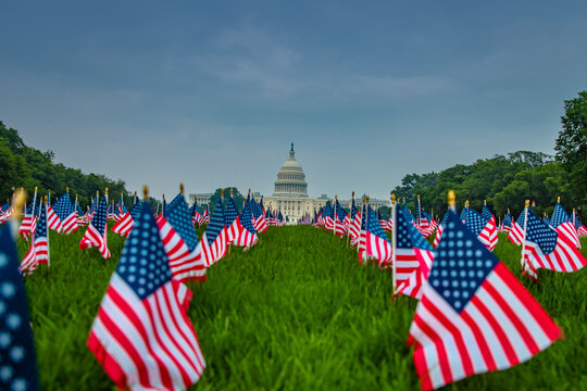 American flags near United States Capitol. Memorial Day with US flags in Washington DC. Remembrance Day. Capitol Hill. Capitol with American flags. Capitol government landmark.
