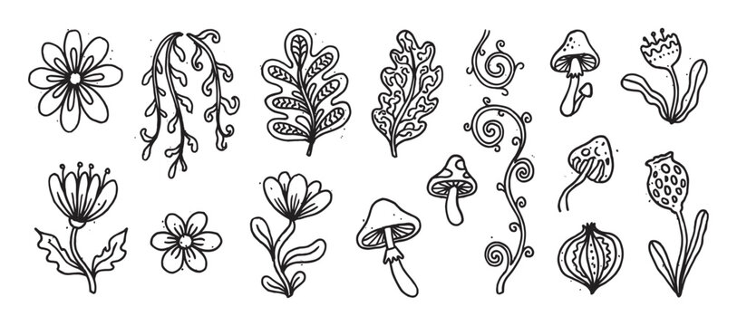 Collection of black and white botanical doodles including fantasy flowers, forest mushrooms, and decorative leaves, all hand drawn in a charming, rustic, and whimsical line art style