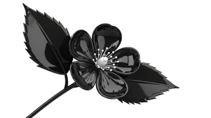 Glossy Black Flower with White Stamens and Jagged Leaves