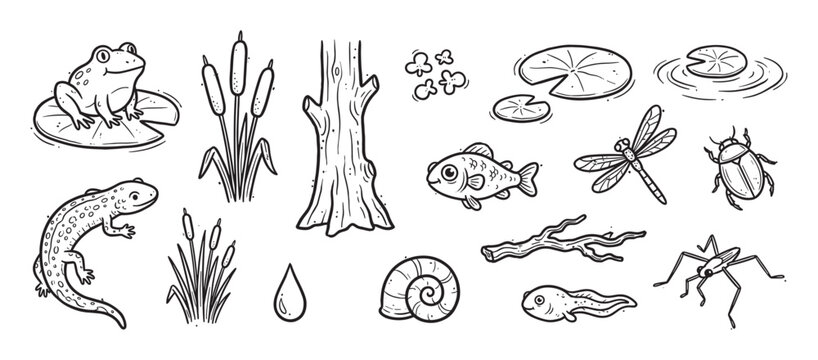 Collection of hand-drawn pond life illustrations featuring a frog, fish, dragonfly, and newt in a charming black and white doodle style for nature and wildlife themes