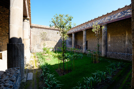 A sunlit Roman peristyle garden with young trees, lush grass, and volcanic stone walls stands in the House of the Ship Europa, Pompeii, Italy. Brick columns and ancient amphorae line the shaded