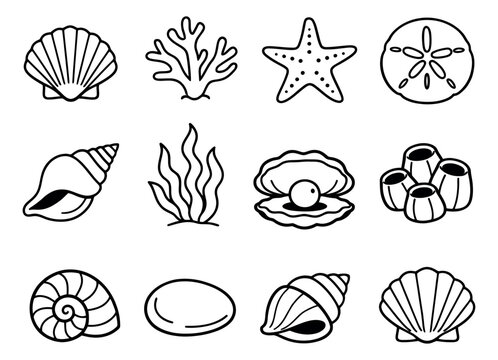 Hand drawn line art ocean elements set featuring various seashells, corals, a starfish, and a sand dollar for marine themed designs