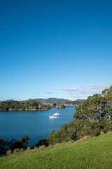 Looking over the Bay of Islands