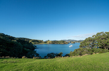 Looking over the Bay of Islands