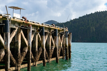 Wharf in Whagaroa New Zealand