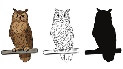 A colorful illustration of an owl in three different styles on white background