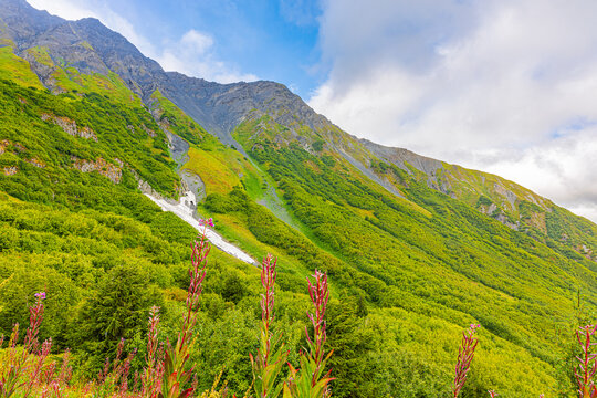 Rolling green mountain slopes stretch beneath blue sky and clouds along Exit Glacier Trail in Alaska.
