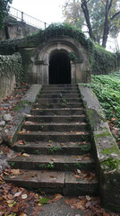 Historical Stone Staircase Leading to Mysterious Arched Entrance in Overgrown Woodland Setting