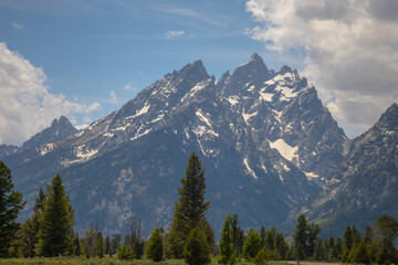 Naklejka premium Scenic views in Grand Teton National Park