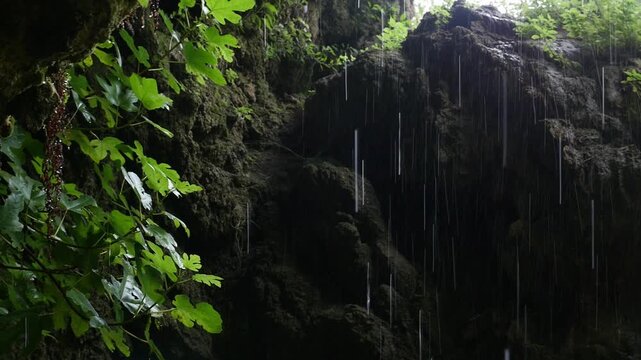 Water droplets falling like rain on rocks with moss and lush vegetation inside a cave in the Nasrid Garden of V&eacute;lez de Benaudalla, Granada.