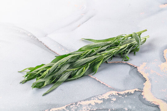 Fresh green estragon aroma stem