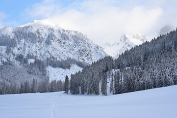 Admont Kaiserau winter landscape with snowy mountains and coniferous forest. Snow-covered fields leading to a dense pine forest with impressive peaks in Austrian winter sport resort.