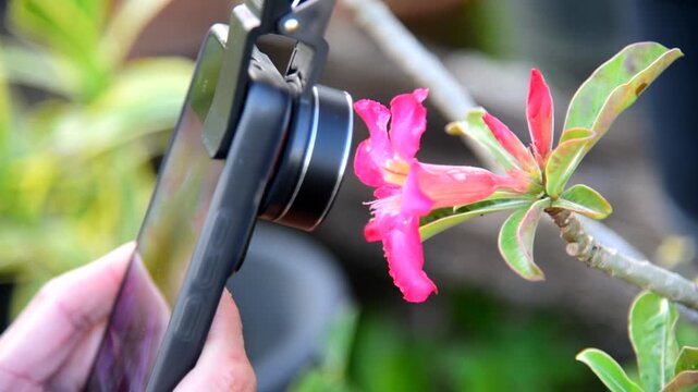 Use Closeup  external lense set with smartphone to take the photo 