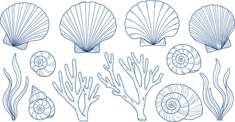 Blue nautical line art vector set featuring detailed seashells scallop shells coral branches and sea snails for coastal home decor and summer wedding invitations. © Minara