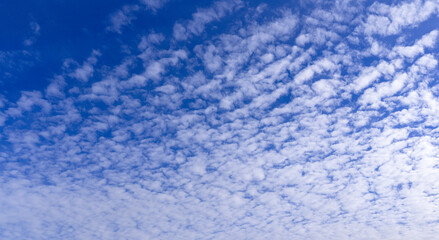 Obraz premium Blue sky with fluffy clouds wallpaper. Relaxation theme sky. A clear blue sky with fluffy white clouds. Clouds texture and light gradients. Serene sky view.