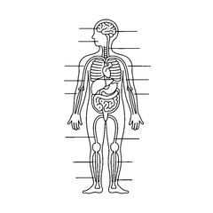 Infographic Line Art Symbols &ndash; Modern Thin Line Icons for UI, UX & Presentation