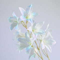 Obraz premium Campanula Rotundifolia Harebell Flowers with Iridescent Petals Isolated on Plain White Background for Botanical Study and Nature App Interface Design