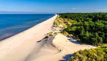 Aerial view of a sandy beach meeting a calm blue ocean and evergreen forest
