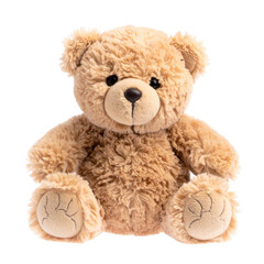 Obraz premium Plush toy isolated on white background.