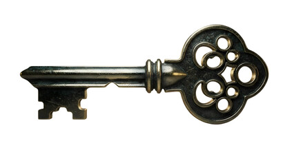 Obraz premium old rusty key