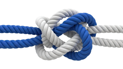 Intertwined Blue and White Ropes