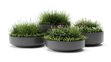 Modern round planters filled with lush ornamental grasses and flowering plants, isolated on white background, showcasing contemporary landscape design, greenery, sustainability, and elegant outdoor 