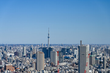 Obraz premium 日本東京の都市風景